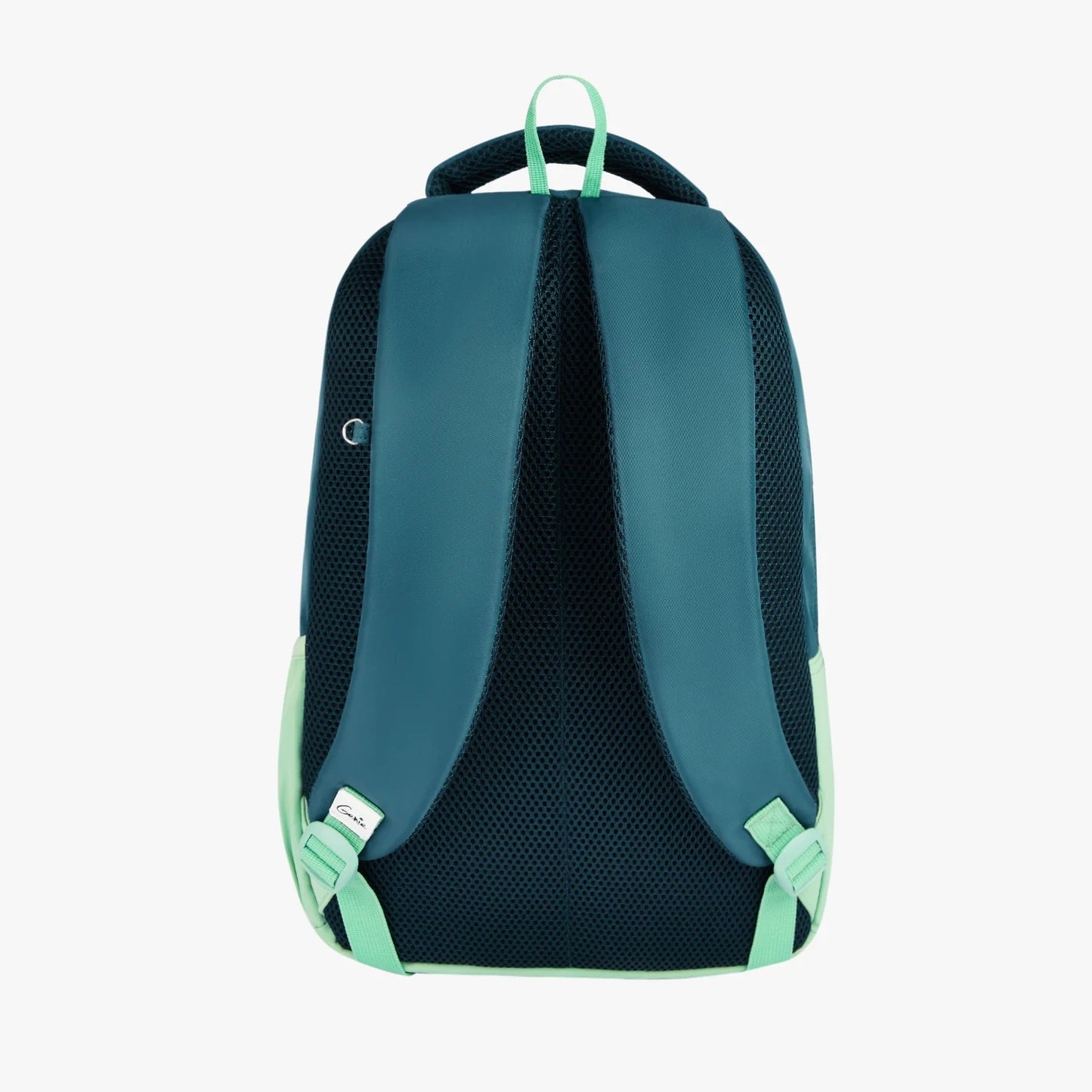 Genie Lilac 27L School Backpack (Navy Blue & Dark Green)
