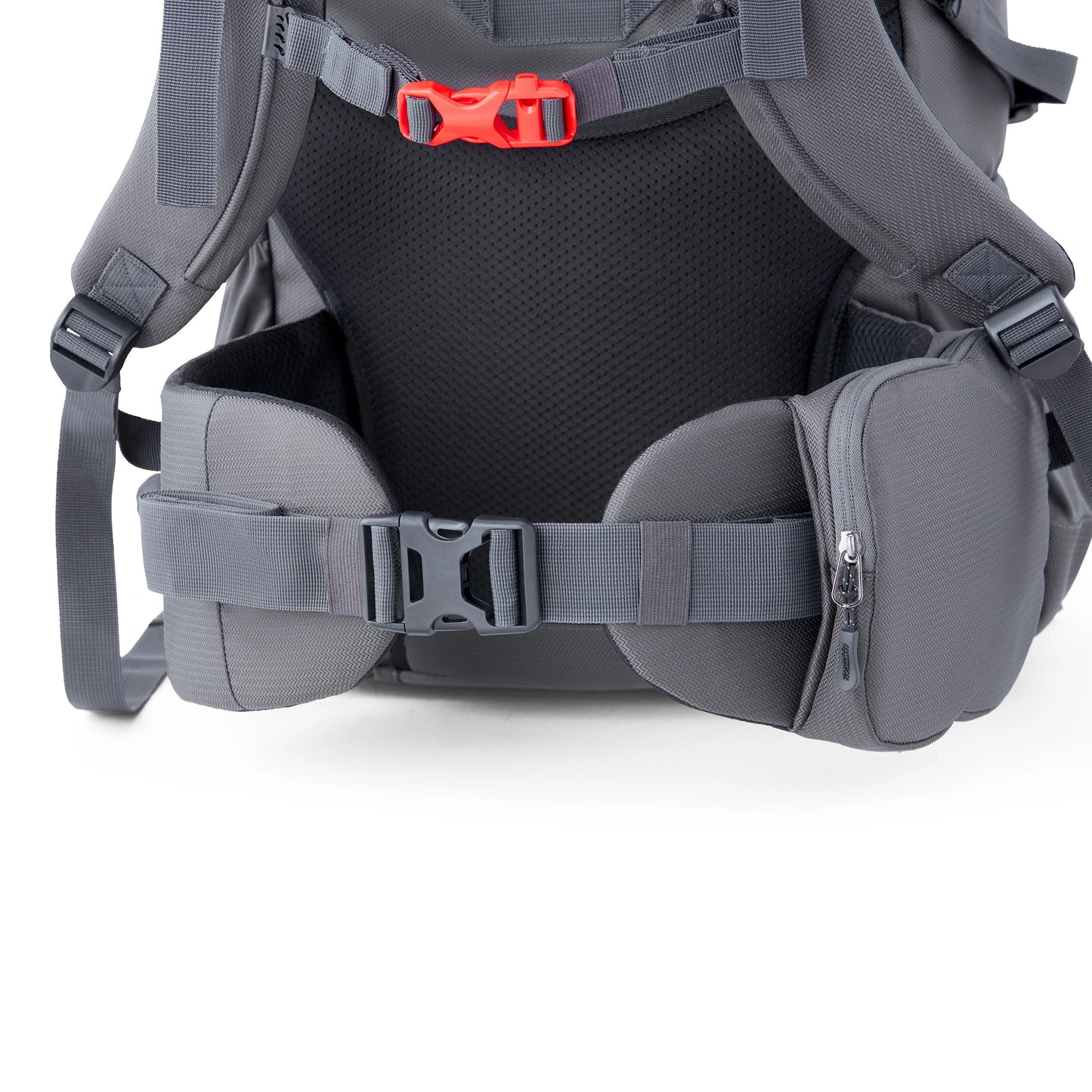 American Tourister Yeti Pro 60L Trekking & Hiking Backpack with Rain Cover