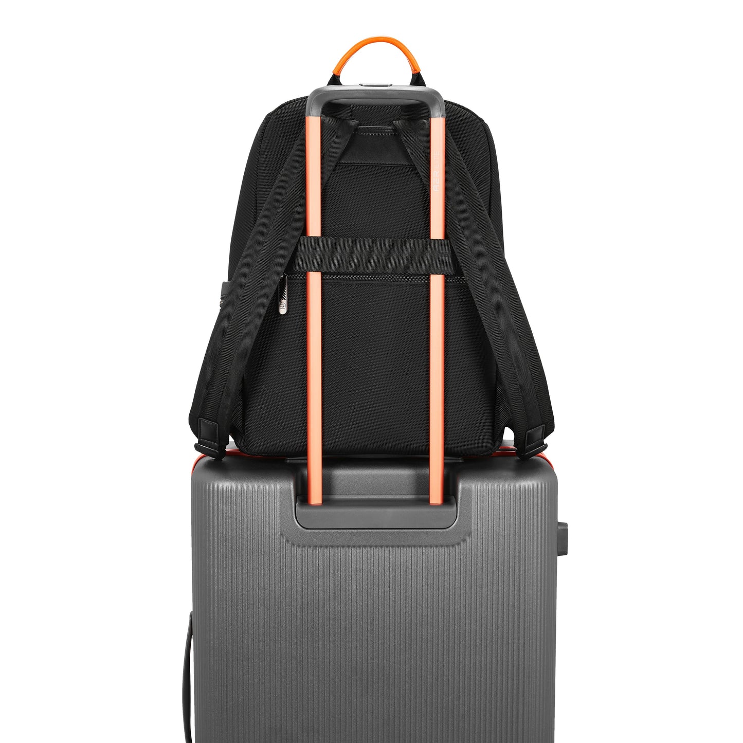 Portal Workpack | Urban Jungle