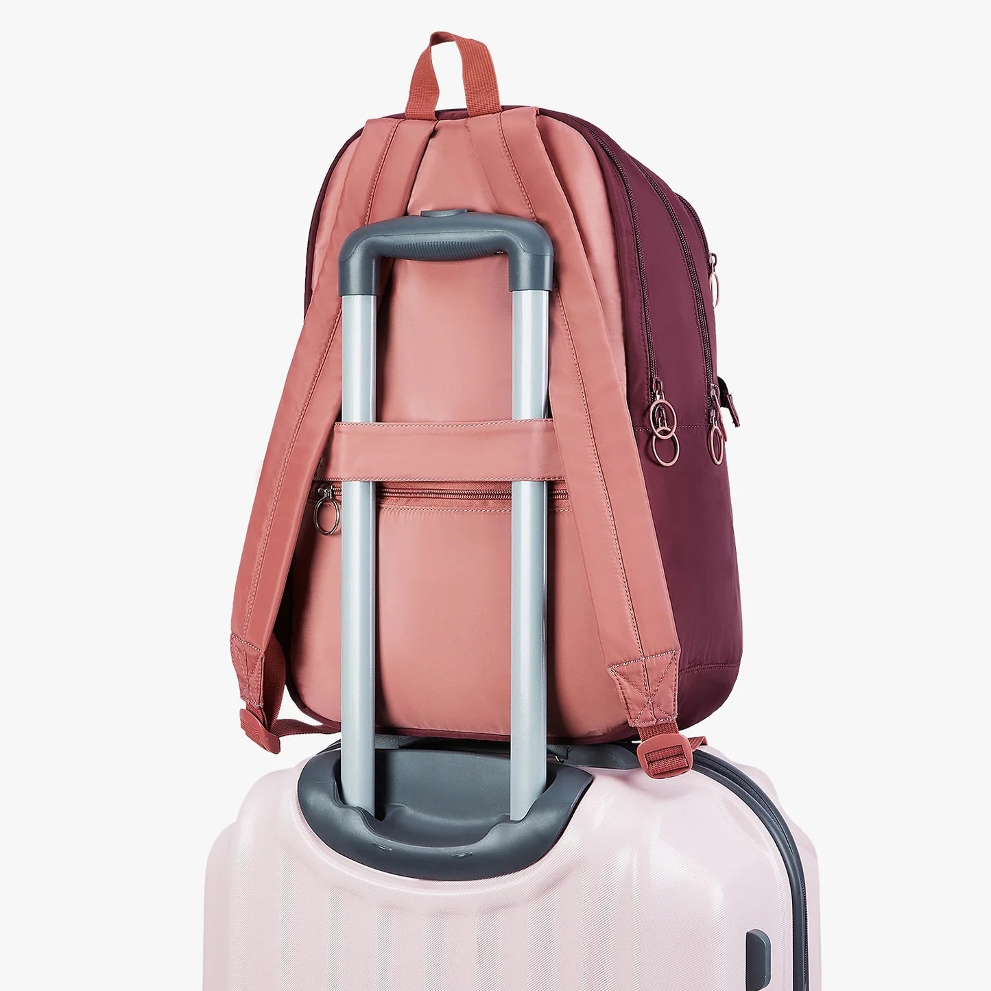 Genie Maple 21L Wine College Backpack With Laptop Sleeve